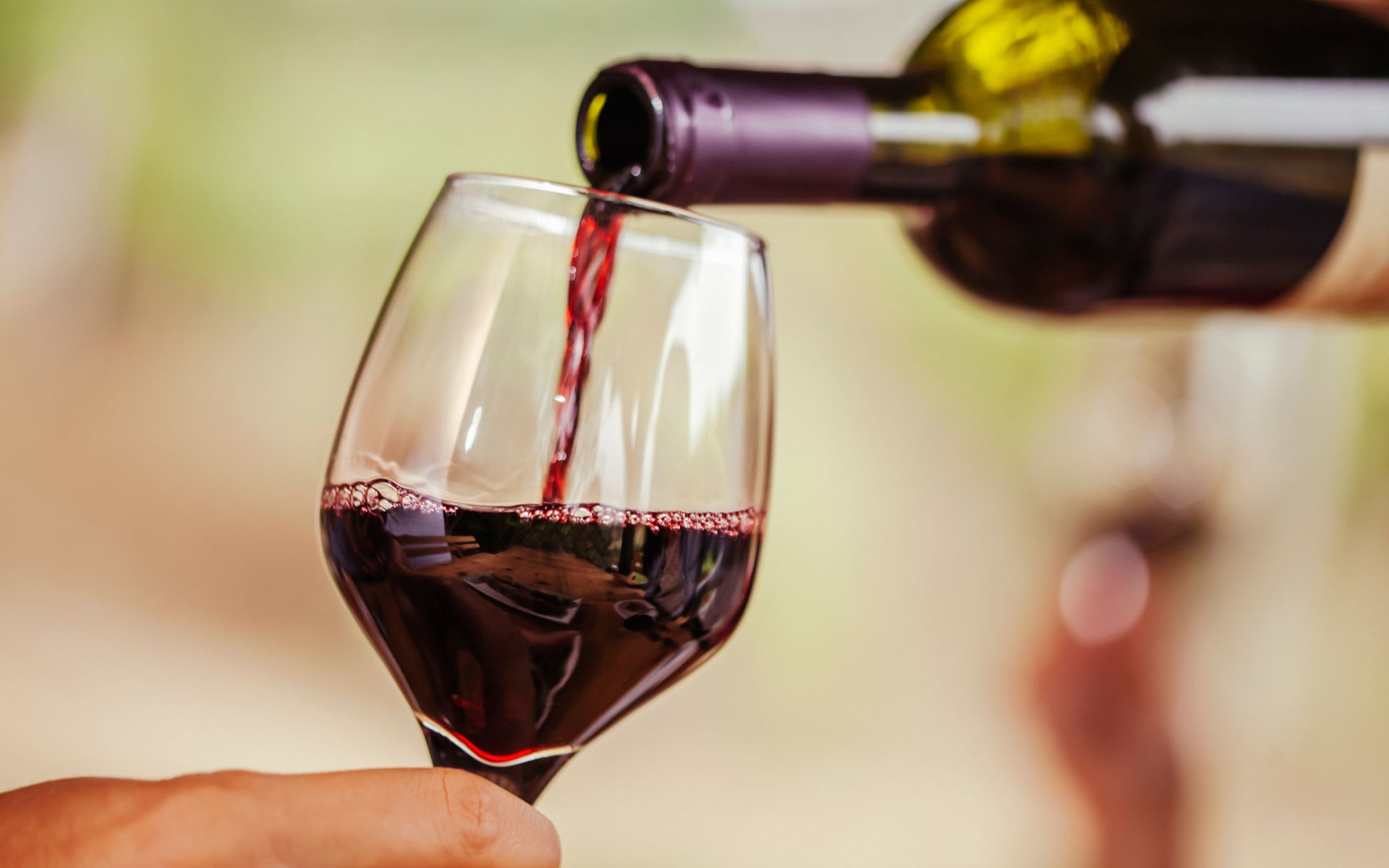 6 tipos de vinho tinto seco para você conhecer e apreciar!